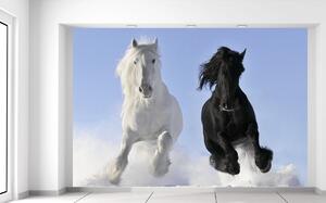 Gario Fototapeta Black and white Veľkosť: 200 x 135 cm, Materiál: Latexová