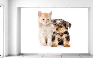 Gario Fototapeta Roztomilý psík a mačička Veľkosť: 200 x 135 cm, Materiál: Latexová