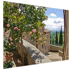 Gario Fototapeta Ruže na balkóne Veľkosť: 200 x 135 cm, Materiál: Latexová