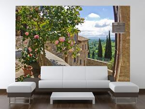 Gario Fototapeta Ruže na balkóne Veľkosť: 200 x 135 cm, Materiál: Latexová