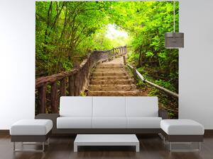 Gario Fototapeta Schody v lese v Thajsku Veľkosť: 150 x 200 cm, Materiál: Latexová
