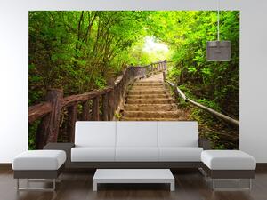 Gario Fototapeta Schody v lese v Thajsku Veľkosť: 200 x 150 cm, Materiál: Latexová