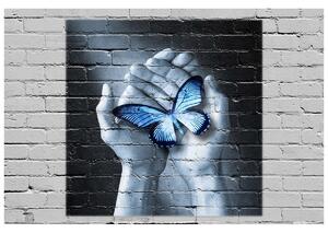 Gario Fototapeta Motýľ na dlaniach Veľkosť: 200 x 135 cm, Materiál: Vliesová