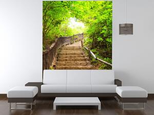 Gario Fototapeta Schody v lese v Thajsku Veľkosť: 200 x 135 cm, Materiál: Latexová