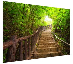 Gario Fototapeta Schody v lese v Thajsku Veľkosť: 150 x 200 cm, Materiál: Latexová