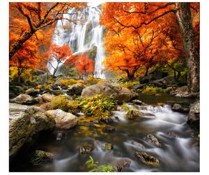 Gario Fototapeta Jesenný vodopád Veľkosť: 268 x 240 cm, Materiál: Vliesová
