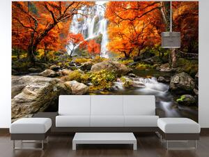 Fototapeta Jesenný vodopád Materiál: Samolepiaca, Rozmery: 200 x 150 cm