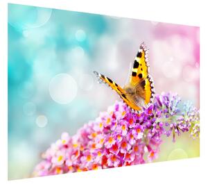 Gario Fototapeta Motýľ na kvetoch Veľkosť: 368 x 248 cm, Materiál: Latexová