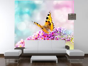Gario Fototapeta Motýľ na kvetoch Materiál: Latexová, Veľkosť: 402 x 240 cm