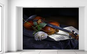 Gario Fototapeta Husle a biela ruža Veľkosť: 200 x 150 cm, Materiál: Vliesová