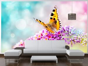 Gario Fototapeta Motýľ na kvetoch Materiál: Latexová, Veľkosť: 402 x 240 cm