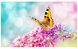 Gario Fototapeta Motýľ na kvetoch Veľkosť: 200 x 135 cm, Materiál: Latexová