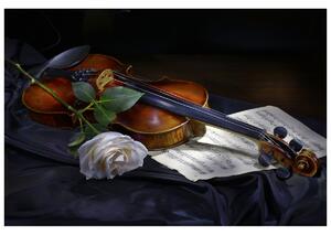 Gario Fototapeta Husle a biela ruža Veľkosť: 200 x 135 cm, Materiál: Samolepiaca