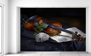 Gario Fototapeta Husle a biela ruža Veľkosť: 200 x 135 cm, Materiál: Samolepiaca