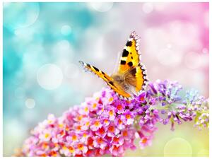 Gario Fototapeta Motýľ na kvetoch Veľkosť: 402 x 240 cm, Materiál: Latexová