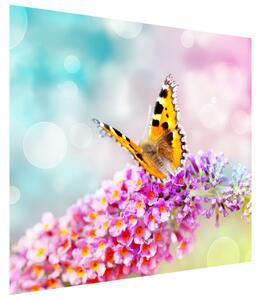 Gario Fototapeta Motýľ na kvetoch Veľkosť: 368 x 248 cm, Materiál: Latexová