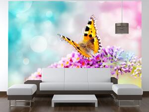 Gario Fototapeta Motýľ na kvetoch Veľkosť: 268 x 240 cm, Materiál: Latexová