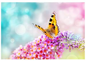 Gario Fototapeta Motýľ na kvetoch Veľkosť: 268 x 240 cm, Materiál: Latexová