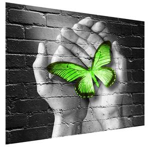 Fototapeta Zelený motýľ v dlaniach Materiál: Samolepiaca, Veľkosť: 200 x 135 cm