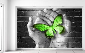 Gario Fototapeta Zelený motýľ v dlaniach Materiál: Samolepiaca, Veľkosť: 412 x 248 cm