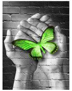 Fototapeta Zelený motýľ v dlaniach Materiál: Samolepiaca, Veľkosť: 200 x 150 cm