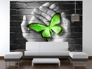 Fototapeta Zelený motýľ v dlaniach Materiál: Samolepiaca, Veľkosť: 200 x 150 cm