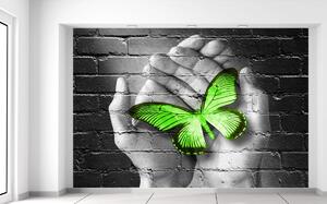 Gario Fototapeta Zelený motýľ v dlaniach Materiál: Samolepiaca, Veľkosť: 200 x 135 cm