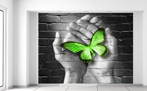 Gario Fototapeta Zelený motýľ v dlaniach Materiál: Samolepiaca, Veľkosť: 200 x 150 cm