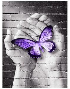 Gario Fototapeta Fialový motýľ na dlaniach Veľkosť: 150 x 200 cm, Materiál: Latexová