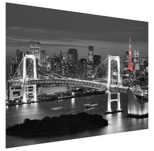 Gario Fototapeta Dúhový most Tokio Veľkosť: 268 x 240 cm, Materiál: Latexová