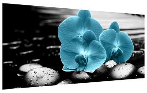 Gario Fototapeta Tyrkysová orchidea a kamene Veľkosť: 536 x 240 cm, Materiál: Latexová