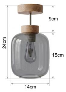 BRILAGI - LED prisadený luster R GLASS 1xE27/60W/230V pr. 14 cm dub/dymovo sivá