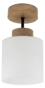 BRILAGI - LED Prisadený luster RETRO GLASS 1xE27/60W/230V pr. 10 cm dub/biela