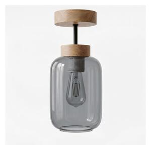 BRILAGI - LED prisadený luster R GLASS 1xE27/60W/230V pr. 14 cm dub/dymovošedá