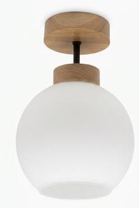 BRILAGI - LED prisadený luster RETRO GLASS 1xE27/60W/230V pr. 15 cm dub/biela