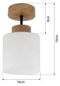 BRILAGI - LED Prisadený luster RETRO GLASS 1xE27/60W/230V pr. 10 cm dub/biela