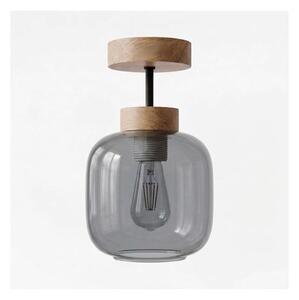 BRILAGI - LED prisadený luster R GLASS 1xE27/60W/230V pr. 14 cm dub/dymovo sivá