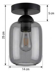 BRILAGI - LED Stropné svietidlo R GLASS 1xE27/60W/230V pr. 14 cm čierna/dymová sivá