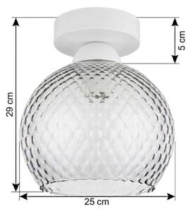 BRILAGI - LED stropné svietidlo R GLASS 1xE27/60W/230V priemer 25 cm biela/dymovo sivá