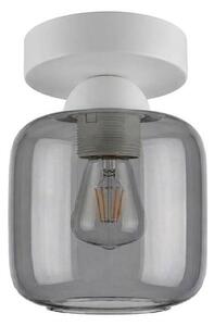 BRILAGI - LED stropné svietidlo R GLASS 1xE27/60W/230V priemer 14 cm biela/dymovo-sivá