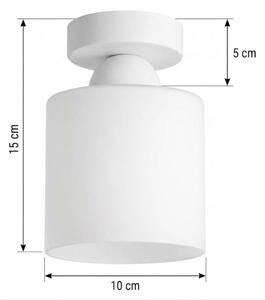 BRILAGI - LED Stropné svietidlo RETRO GLASS 1xE27/60W/230V pr. 10 cm biele