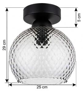 BRILAGI - LED Stropné svietidlo R GLASS 1xE27/60W/230V pr. 25 cm čierna/dymovo sivá