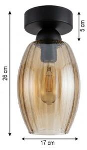 BRILAGI - LED Stropné svietidlo R GLASS 1xE27/60W/230V pr. 17cm čierna/dymovo-béžová