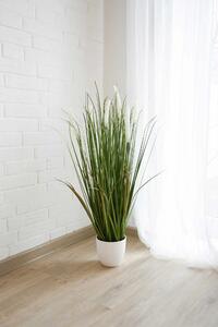 Eshop-kvetinace.sk Umelá tráva HERBE, plast, výška 80 cm, zelená