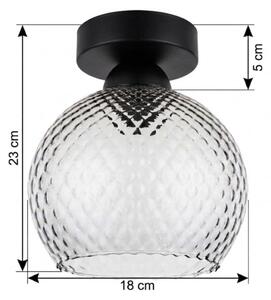 BRILAGI - LED stropné svietidlo R GLASS 1xE27/60W/230V pr. 18 cm čierna/dymová sivá