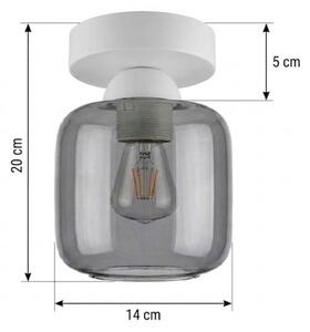BRILAGI - LED stropné svietidlo R GLASS 1xE27/60W/230V priemer 14 cm biela/dymovo-sivá