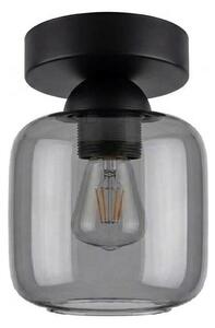BRILAGI - LED stropné svietidlo R GLASS 1xE27/60W/230V pr. 14 cm čierna/dymovo sivá
