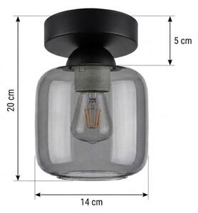 BRILAGI - LED stropné svietidlo R GLASS 1xE27/60W/230V pr. 14 cm čierna/dymovo sivá