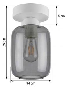 BRILAGI - LED Stropné svietidlo R GLASS 1xE27/60W/230V pr. 14 cm biela/dymová sivá