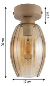 BRILAGI -LED Stropné svietidlo R GLASS 1xE27/60W/230V pr. 17cm béžová/dymová béžová